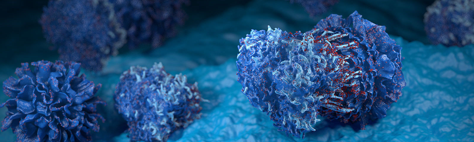 immune system T-Cell Dentritic Cell 3d scientific images