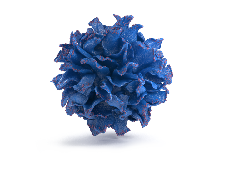 fancy dendritic cell scientific images immune system