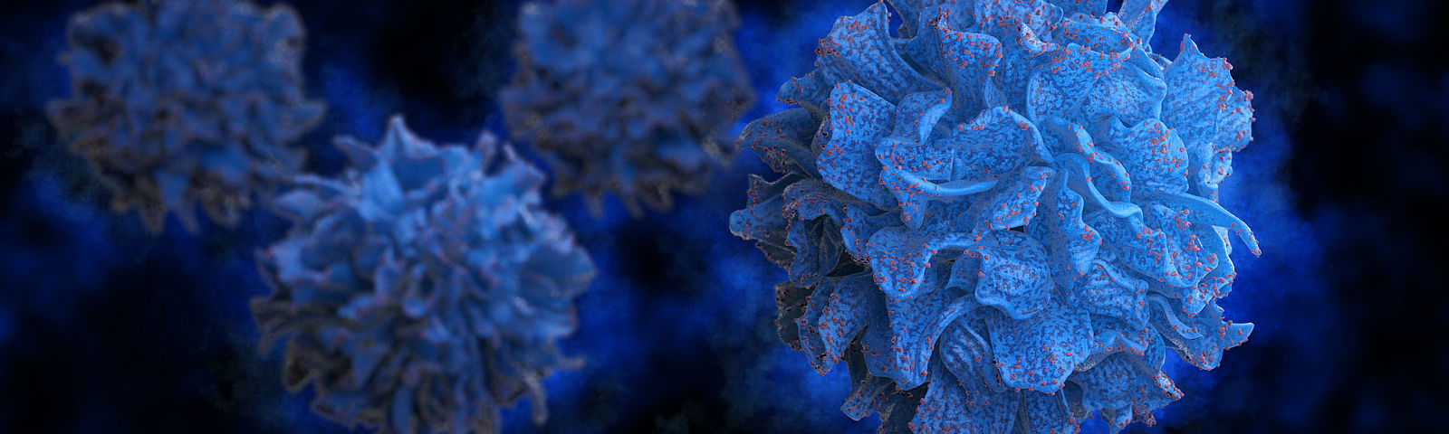 immune system T-Cell Dentritic Cell 3d scientific images